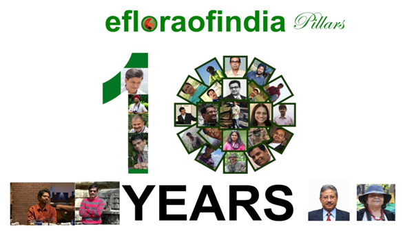 Ten years of efloraofindia