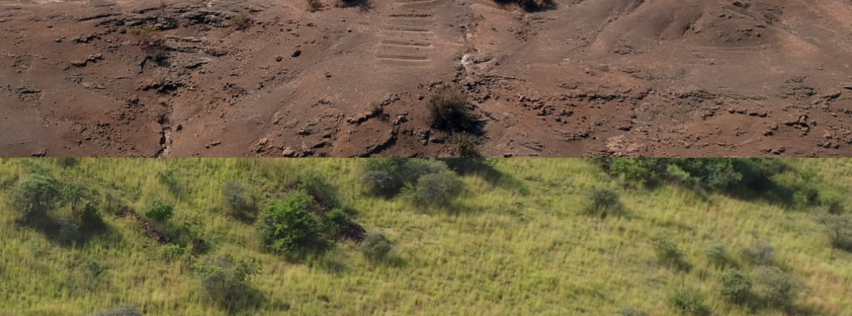 Community restores grasslands in Lamkani, making the village drought-resilient