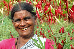 Cultivating Biodiversity: Peasant Women in India