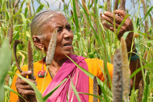 Cultivating Biodiversity: Peasant Women in India - Vikalp Sangam