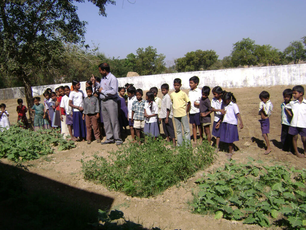 Medak Schools Grow Their Mid-day Meal pic