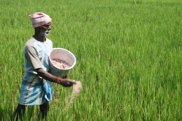 Tamil Nadu farmers float club to produce organic vegetables