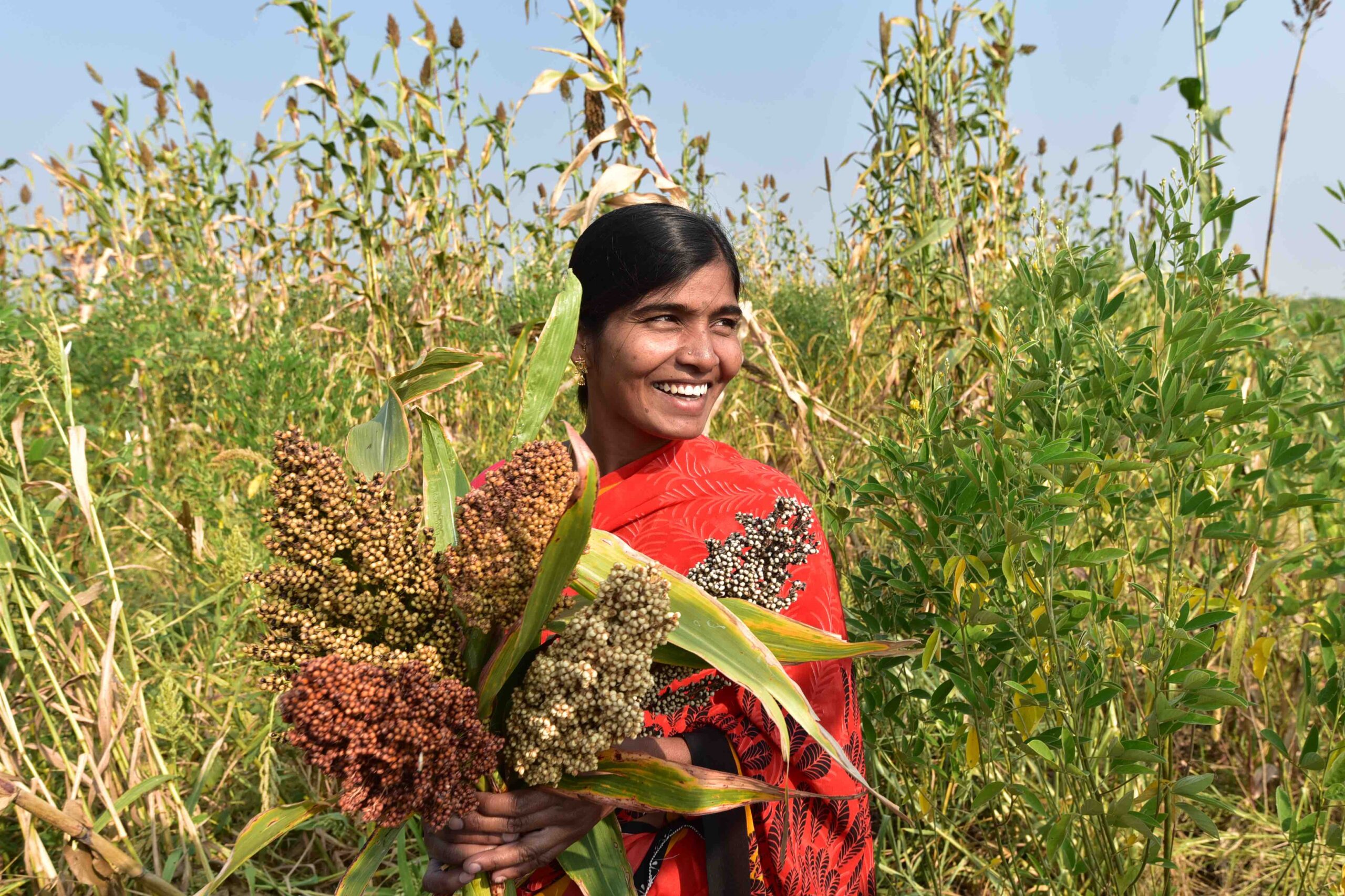These Alternative Economies Are Inspirations for a Sustainable World