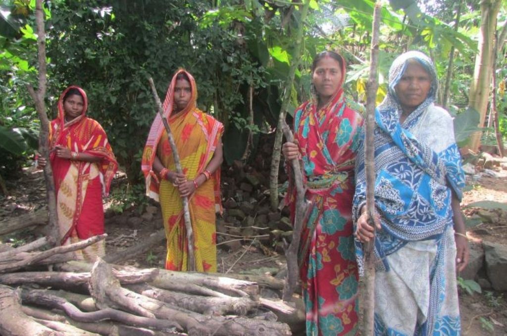 Xxx Halbi Hd Videos - Rural Women Celebrate Siali Uchsav for Forest and Livelihood Protection -  Vikalp Sangam