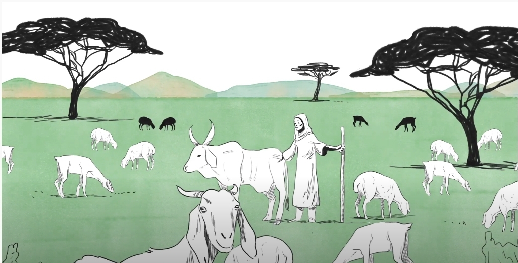 Pastoralism is the future