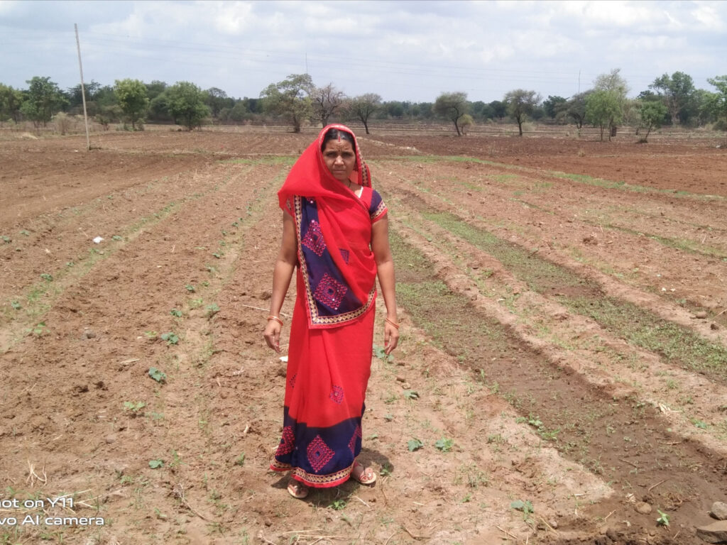 Farm body on mission to boost organic cotton cultivation - Vikalp Sangam