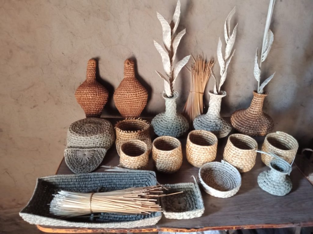 What can two imaginative minds create with Wild Grass and thorny tree?