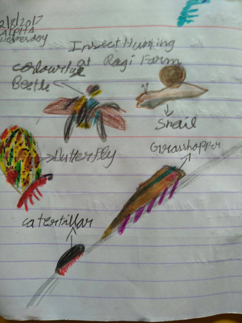 Teachers of the future: Teachers’ Voices from an urban school farming project (The Ragi Project)