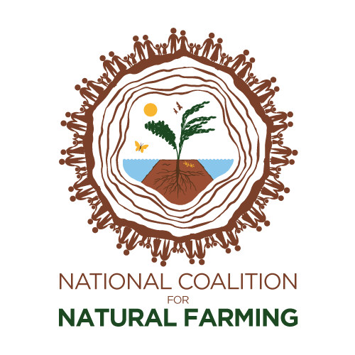 National Alliance of Peoples’ Movements (NAPM)