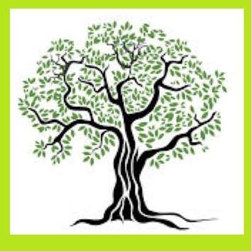 Social Entrepreneurship Association