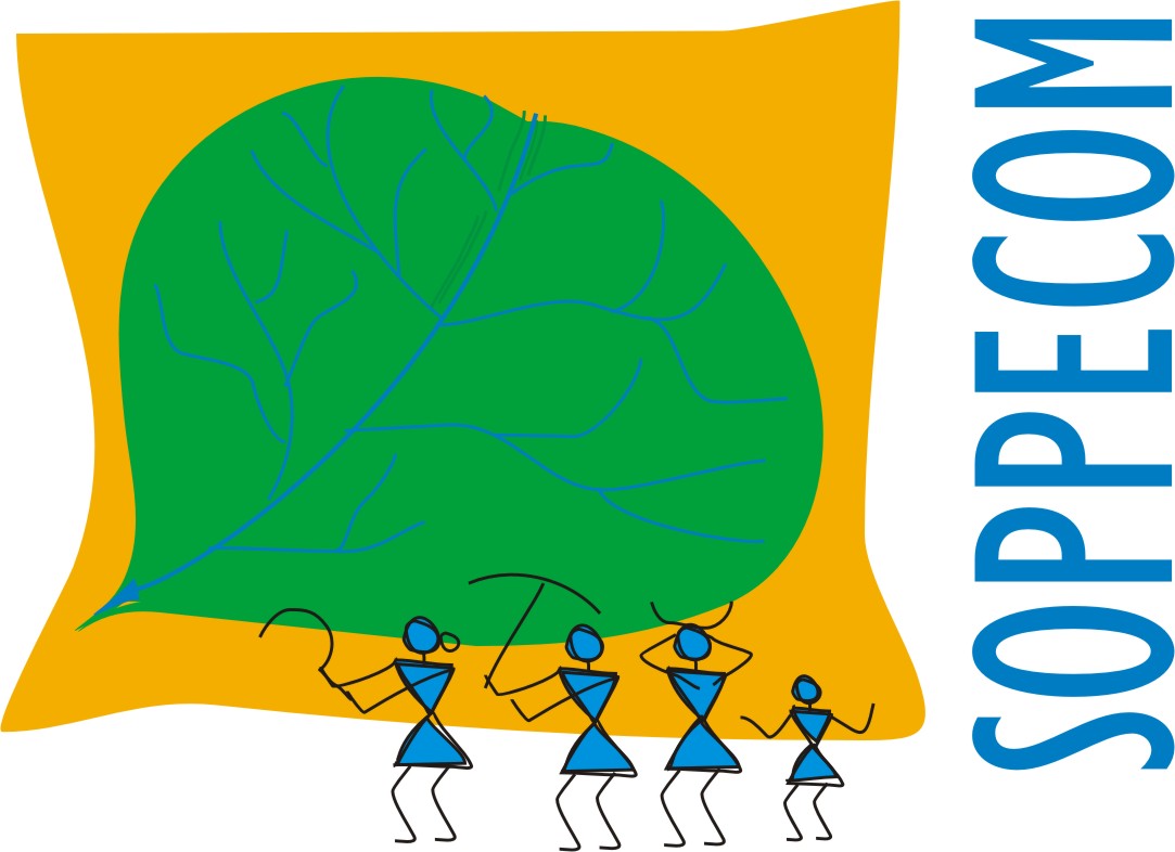 Social Entrepreneurship Association