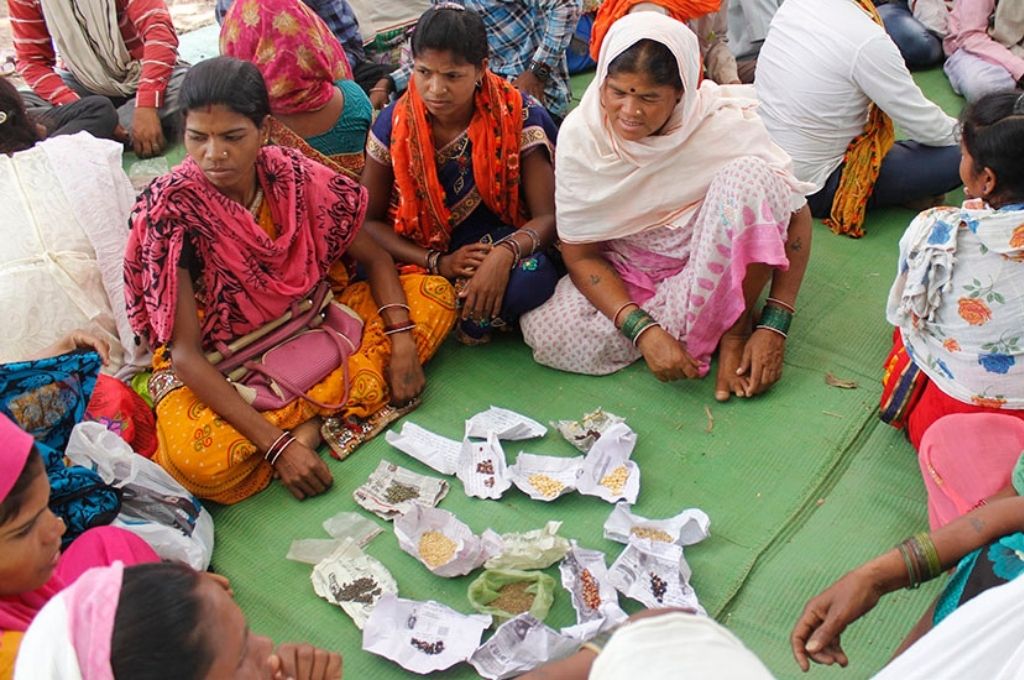 Women sustain traditional wisdom of conserving indigenous seeds