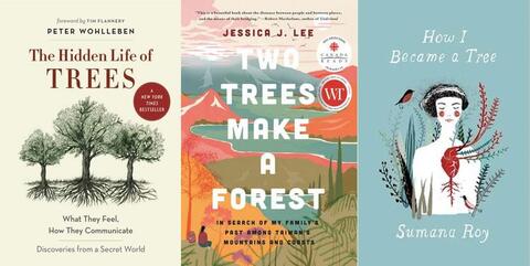 Why Parents Are Choosing To Unschool Their Children Vikalp Sangam