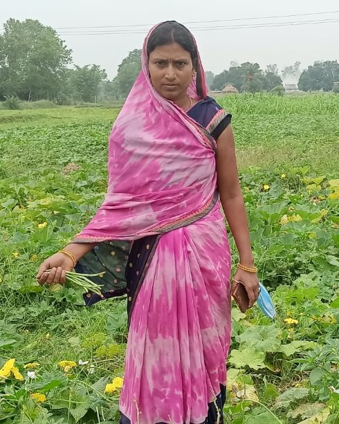 Raja Haridas Hot Sex Video - How women from Bihar tackled COVID 19 by building food systems - Vikalp  Sangam