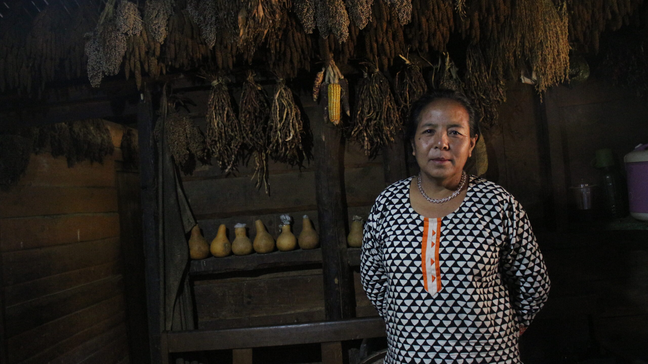 Reviving the Traditional Millet Based Bio-Diverse Agricultural System in Phek District, Nagaland