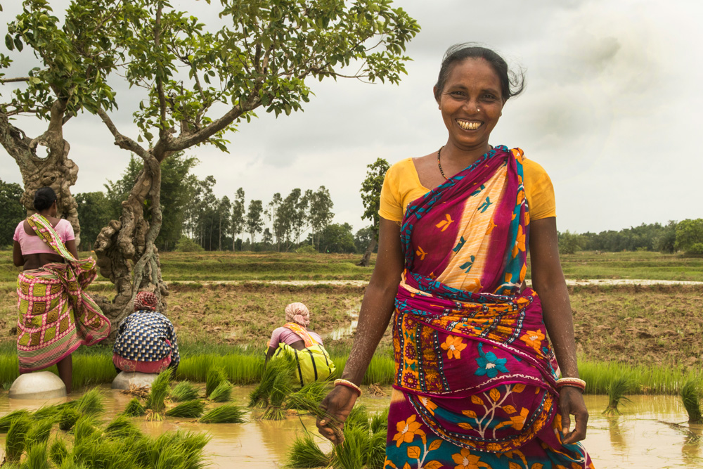 1000px x 667px - Aamon: Tribal women in violence-hit Bengal province triple incomes with  organic rice; revive traditional varieties - Vikalp Sangam