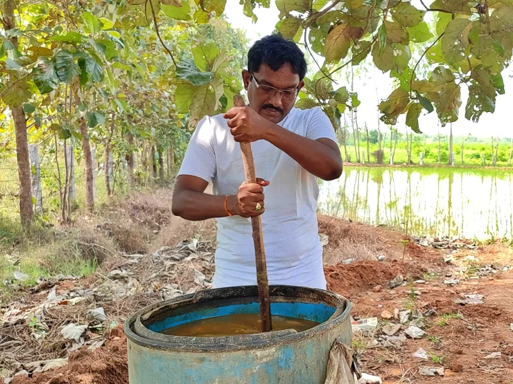 Vruksha Ayurveda Farming: Developing Healthy Plants that Produce