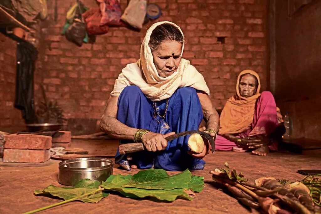 https://vikalpsangam.org/wp-content/uploads/2022/08/Avantika-Bhuyan-journey-to-find-wild-food-woman-making-raan-bhaji-1024x683.jpg