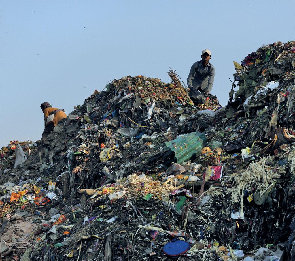 Solid waste management: Why integrating informal sector is a must - Vikalp  Sangam