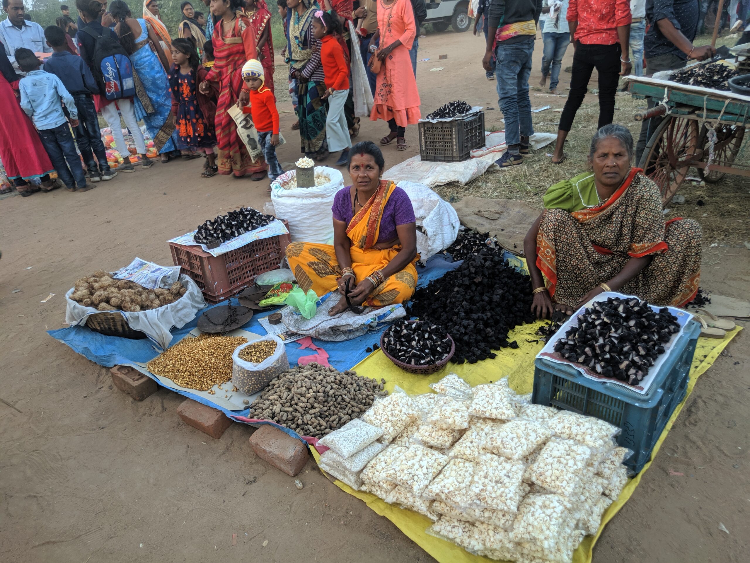 सतपुड़ा में किसानी से जुड़ा है मड़ई मेला (In Hindi)