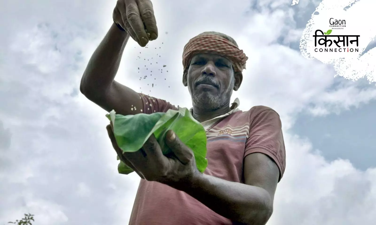Indigenous Farmers to Revive Millet cultivation in Kanthalloor