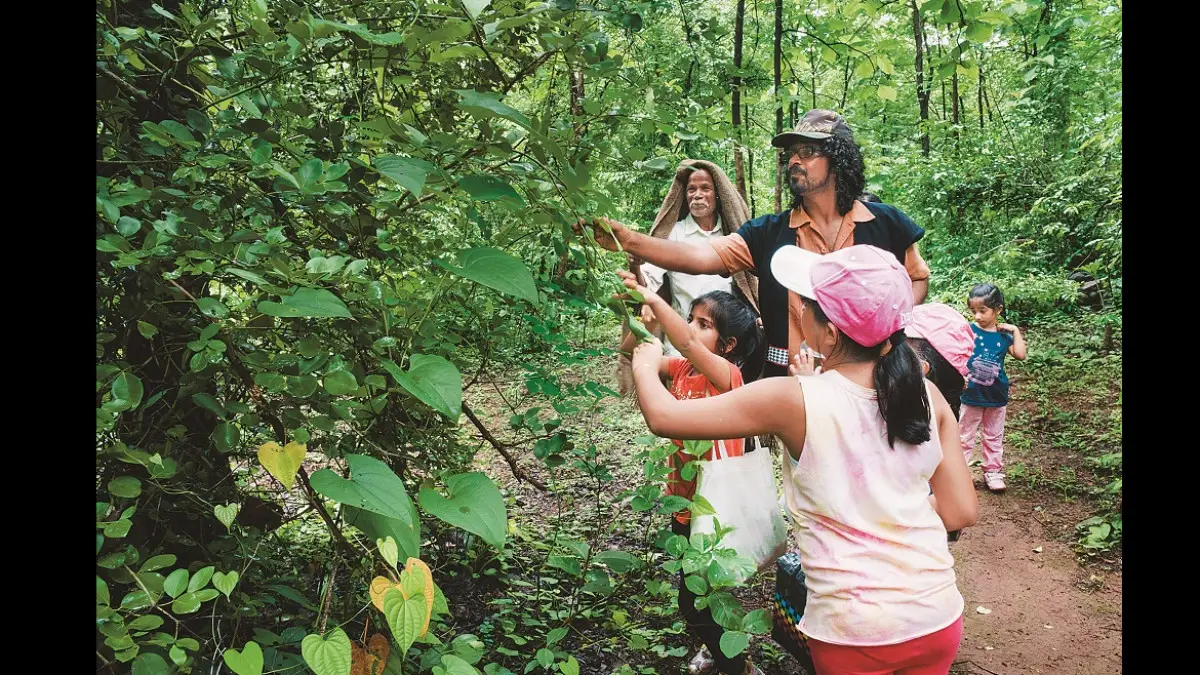 Greening Mother Earth: How Vanvadi In Maharashtra Is Reclaiming Forests For A Cause