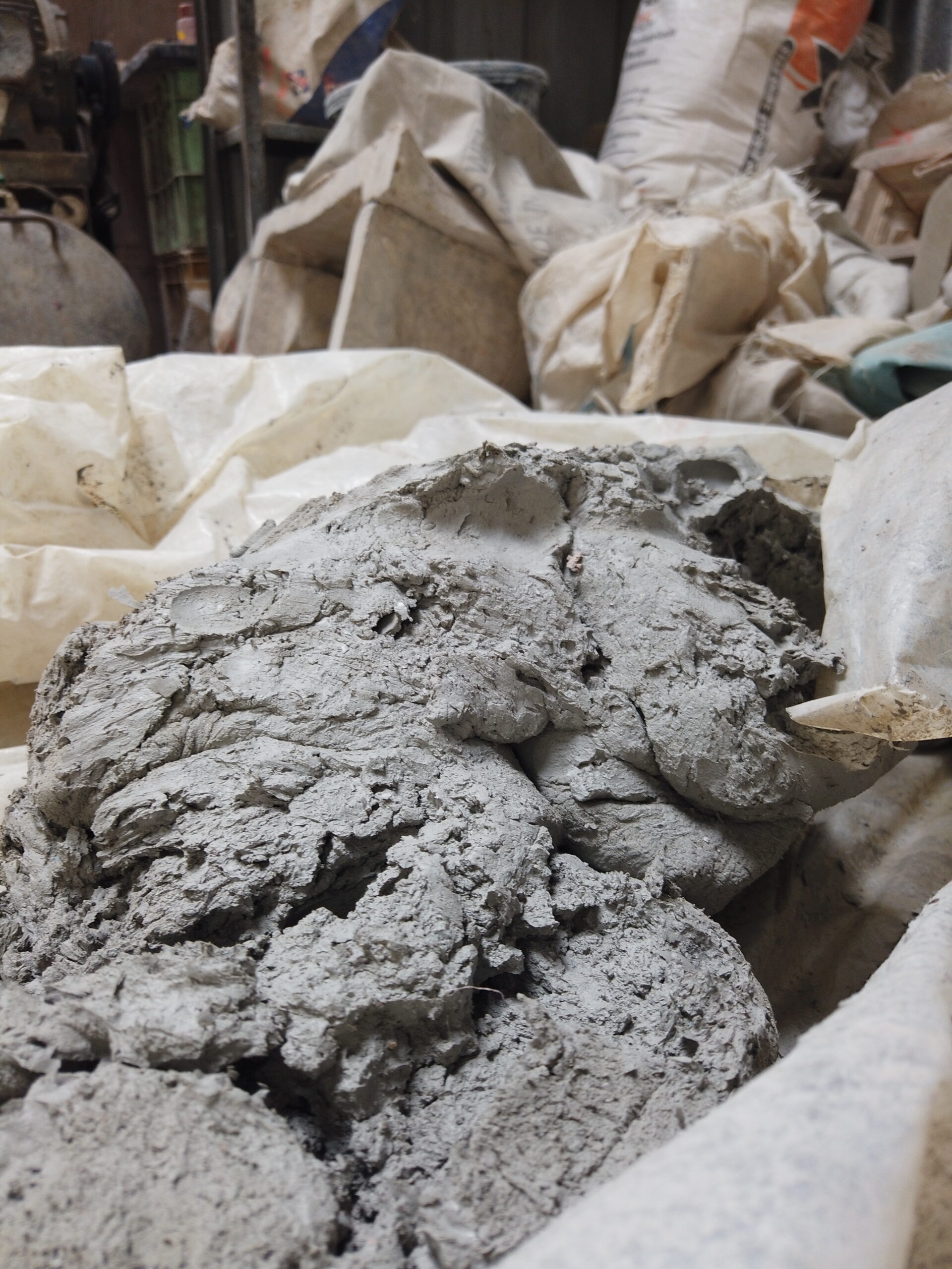 WASTE THAT IS NOT WASTE : The management of solid waste generated by the Ganesh Chaturthi festival 