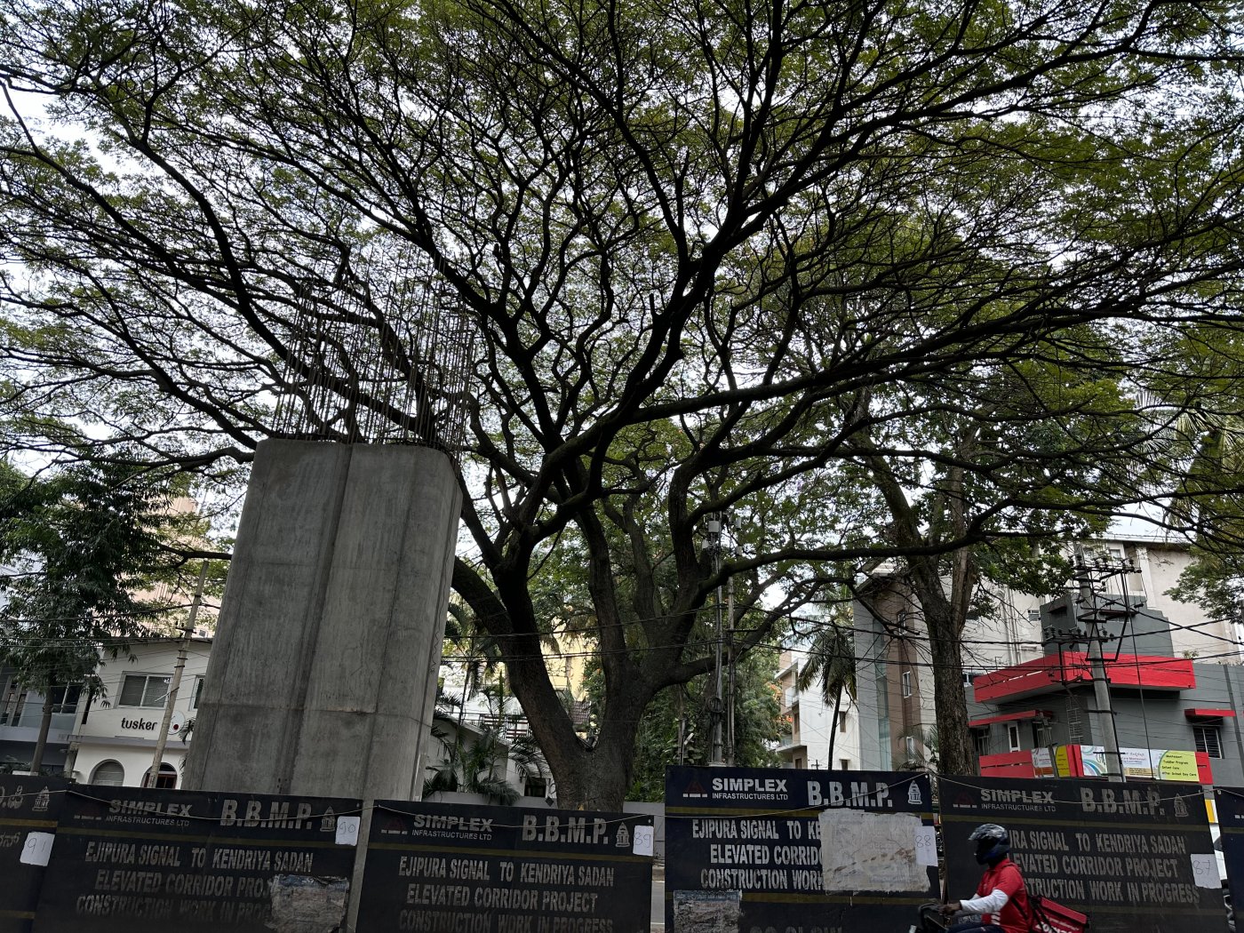 Citizen Movements Try To Stem The Decimation of Urban India’s Trees, In Era Of Record Heat & Toxic Dust