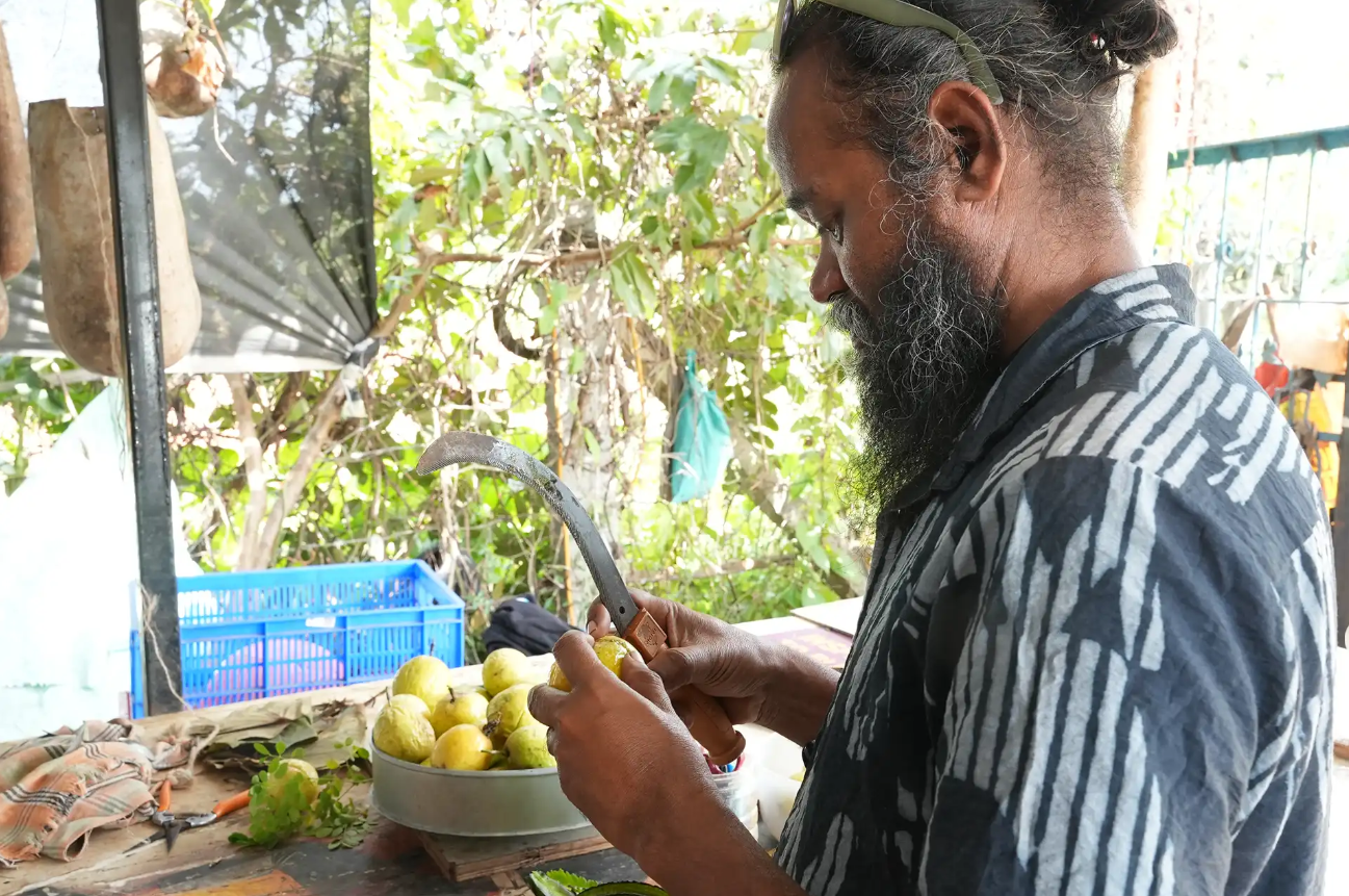 Foraging in Bengaluru: A source of sustenance, flavour