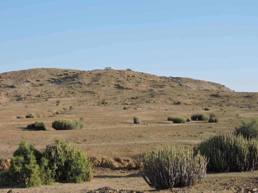 A stark desert beauty a testament to enduring life and raw power