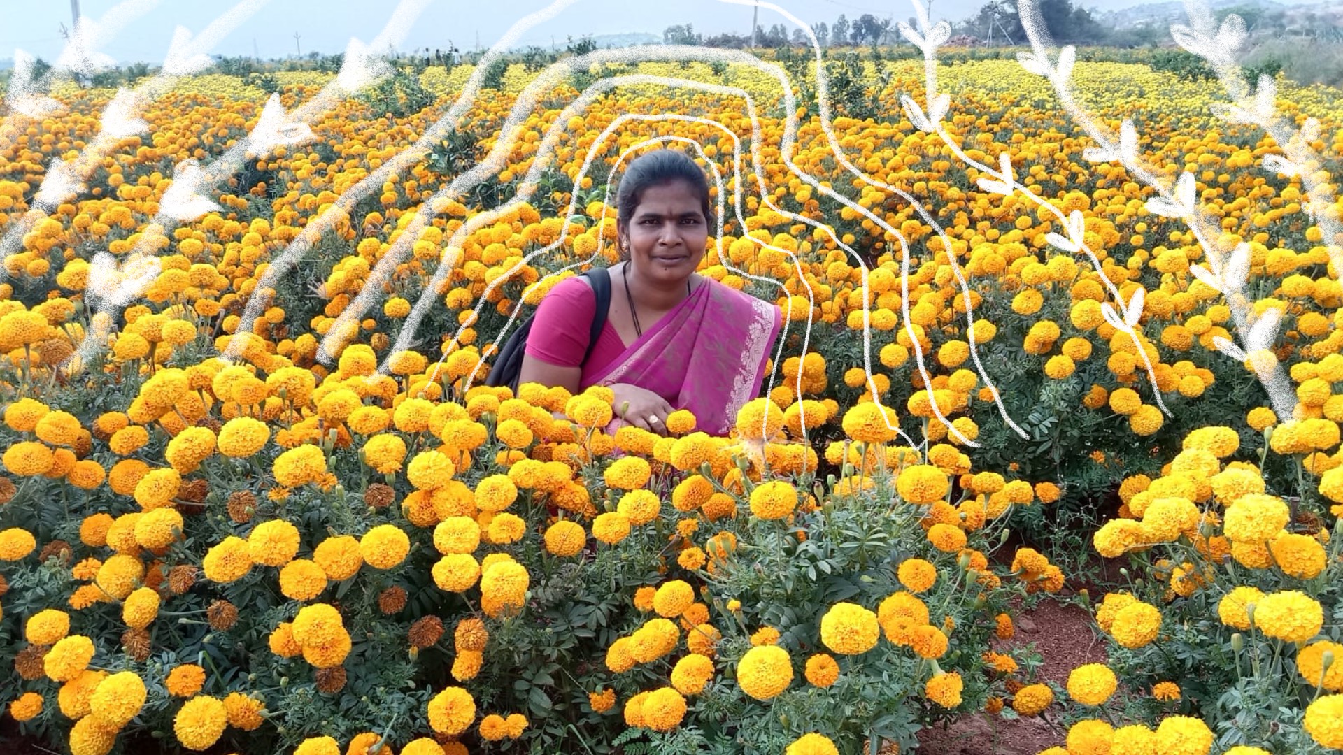 Women Like Bhanumati Are Powering Andhra’s Natural Farming Mode