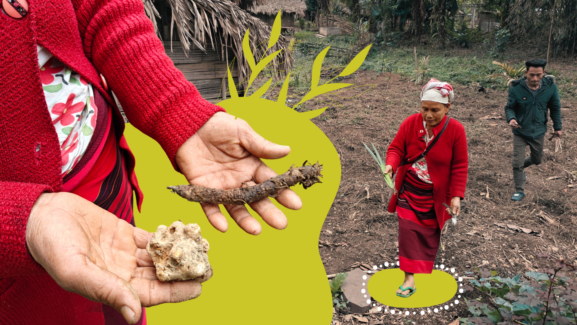 How Arunachal’s Women Healers Are Conserving Rare, Endangered Plants
