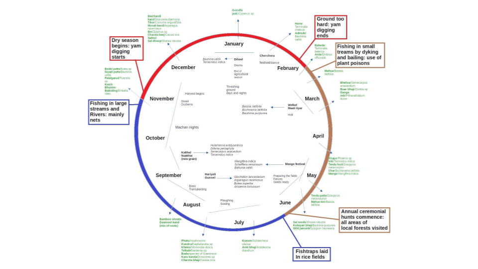 Revisiting First Fruit Ceremonies: the crisis in the cornerstone of indigenous knowledge and a possible way out