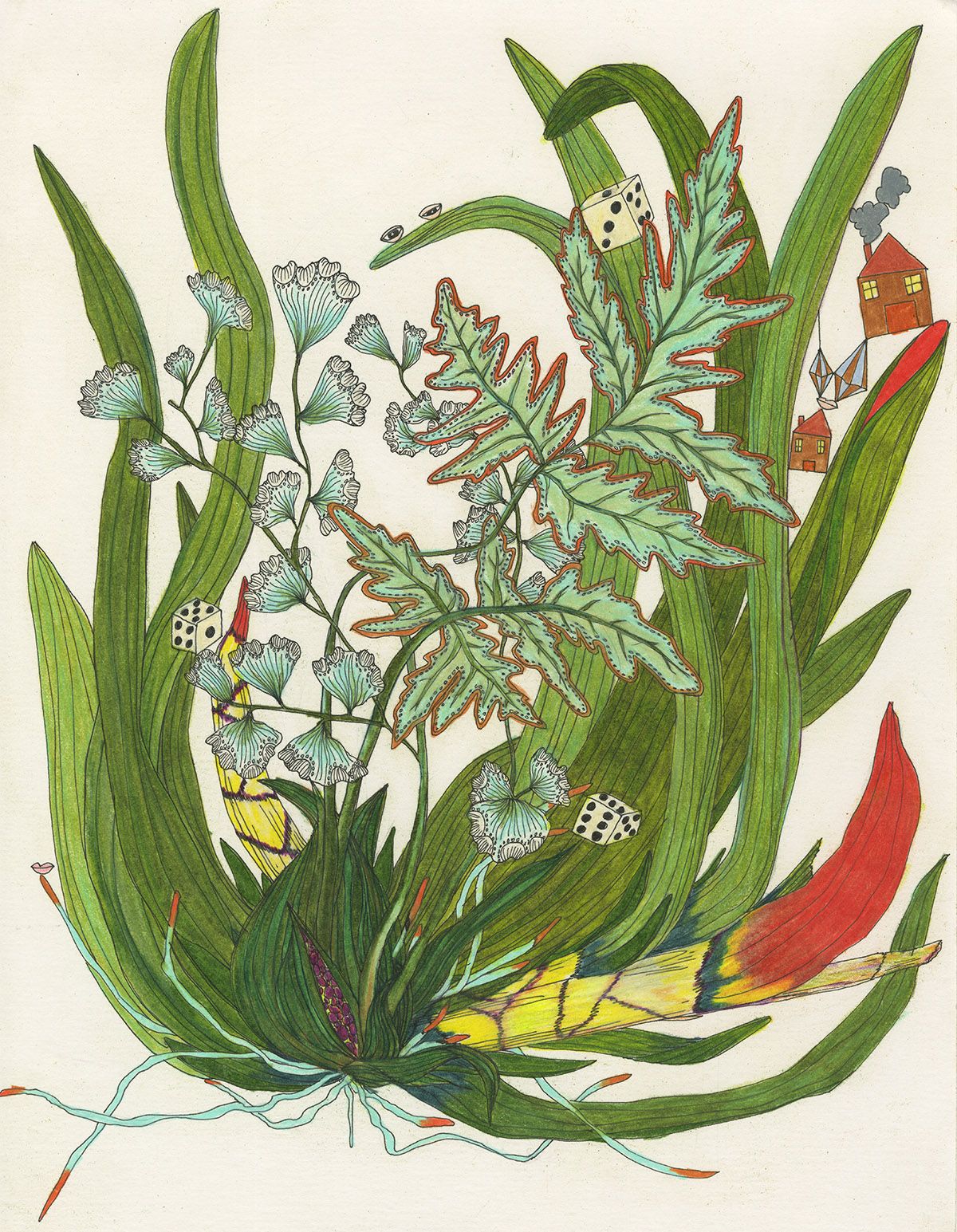 Playing with plants
