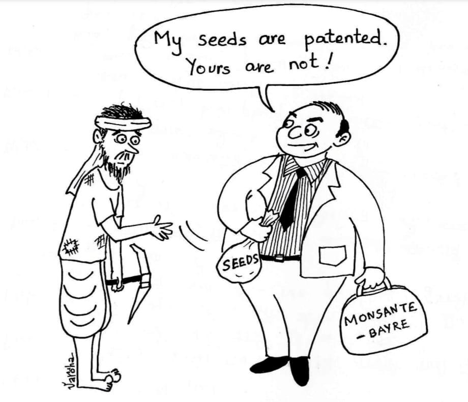 Seeding an Ecologically Healthy and Inclusive Future