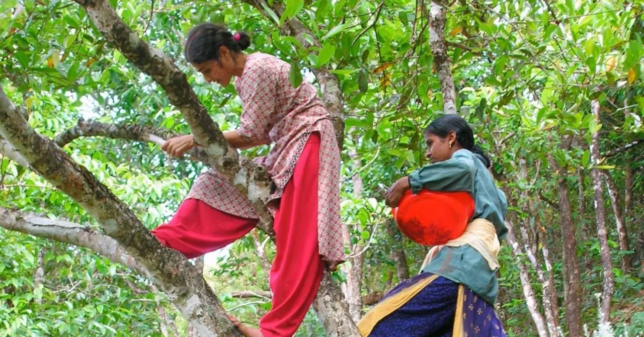 In the Western Ghats, 20 Kerala Women Are Protecting a Forest Home to 2000 Native Plants