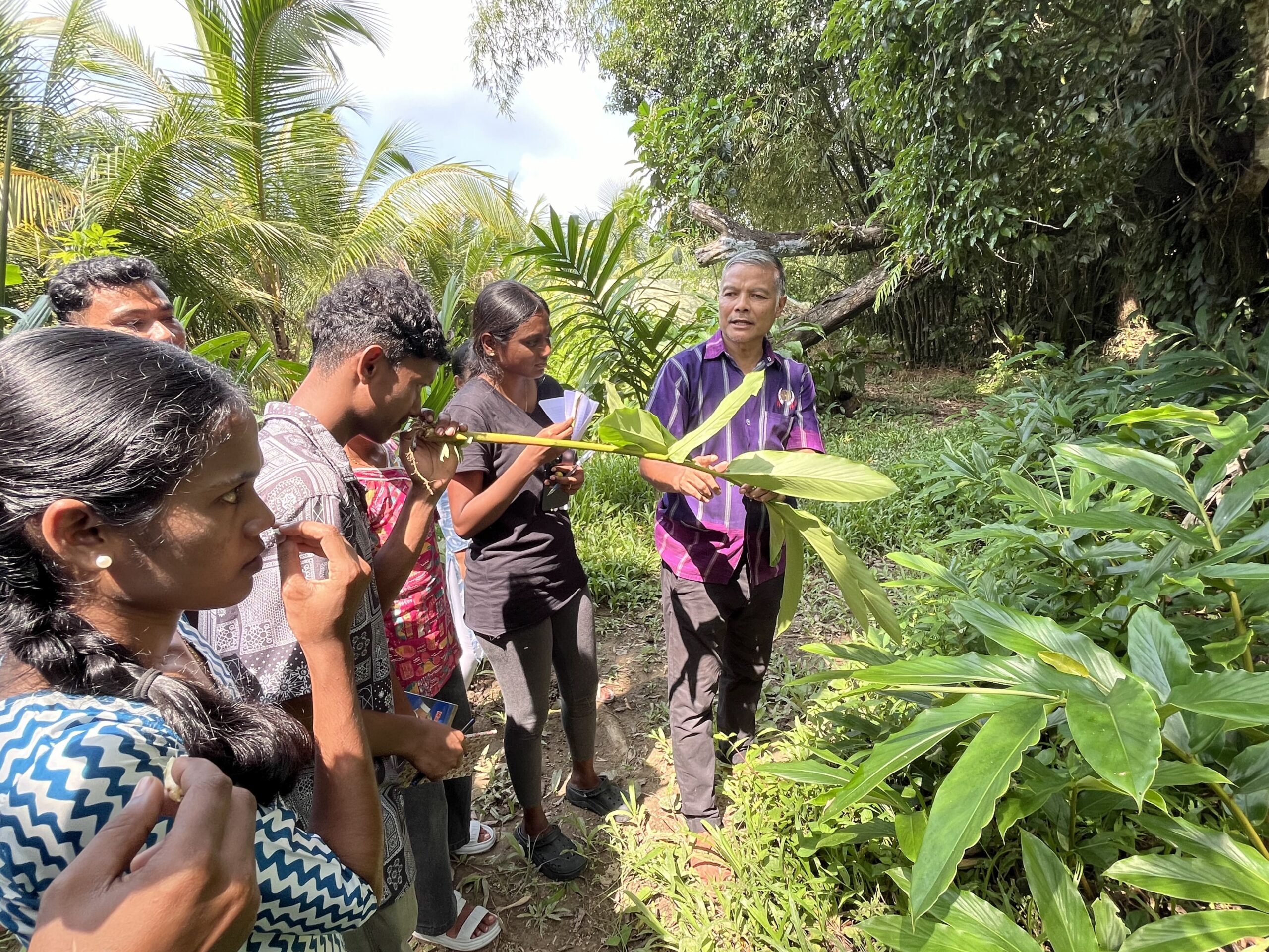 A generation strives to revive traditional healing