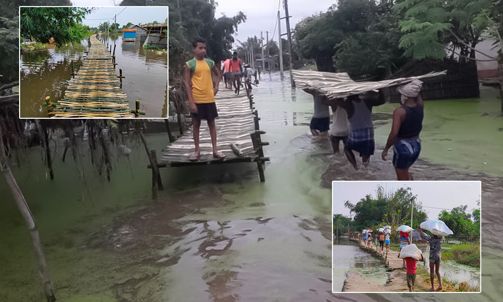 Bamboo poles used with rope to make a bridge over the pond in this