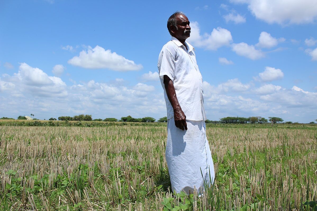 Tamil Nadu farmers fight drought with organic farming