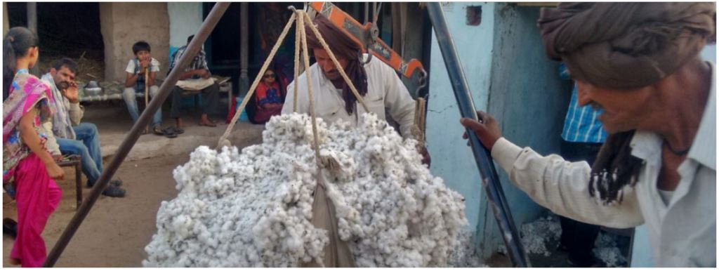 Intrinsics Medium Cotton Balls - Bulk 1,500 count