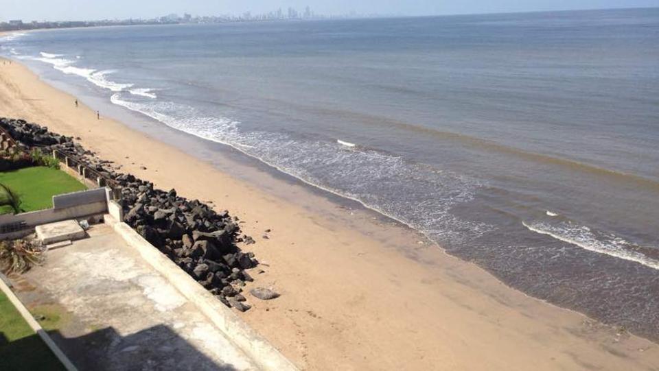 From garbage dump to garden of Eden How locals transformed one of Mumbais dirtiest beaches