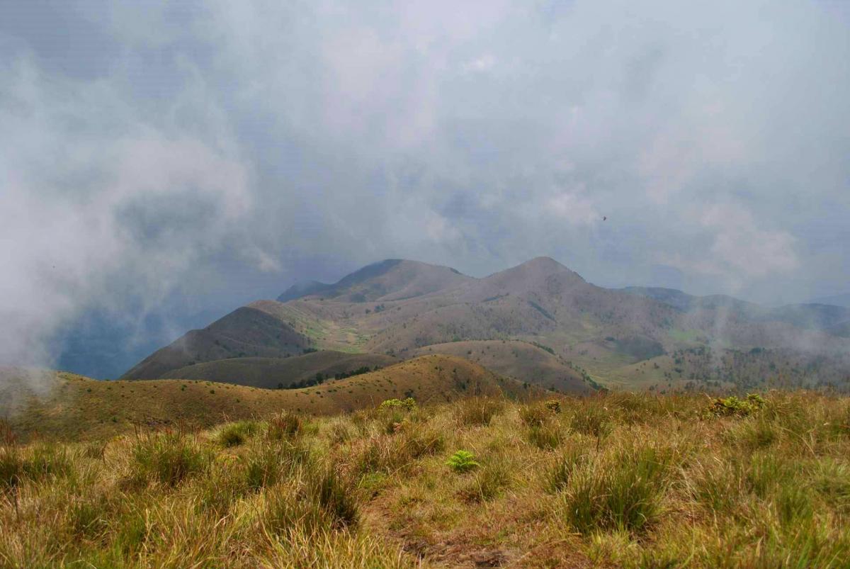 meesapulimala landscape kerala