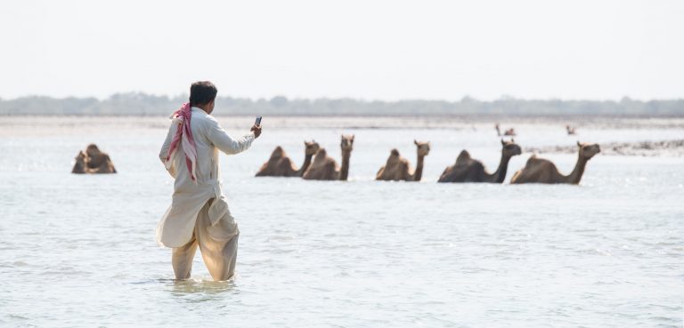 Where Camels Take to the Sea - Vikalp Sangam