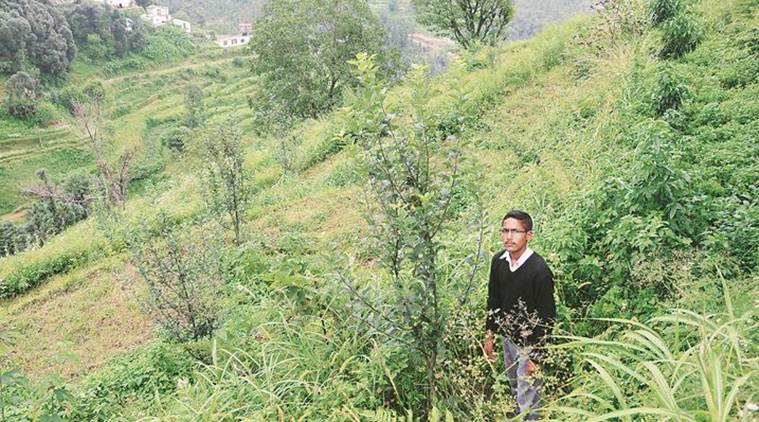 This Himachal teenager is bringing the forests back, his dream is 1 billion trees