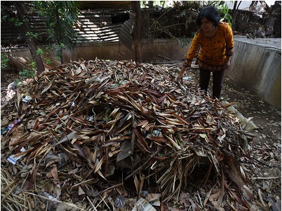 Driven by social media, organization on a mission to make every leaf count