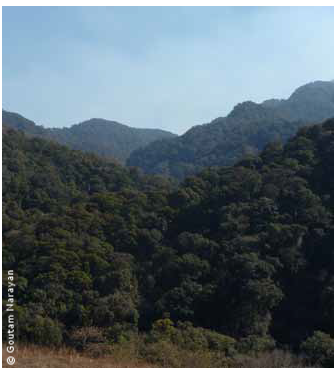Community conservation at a crossroads in Khonoma