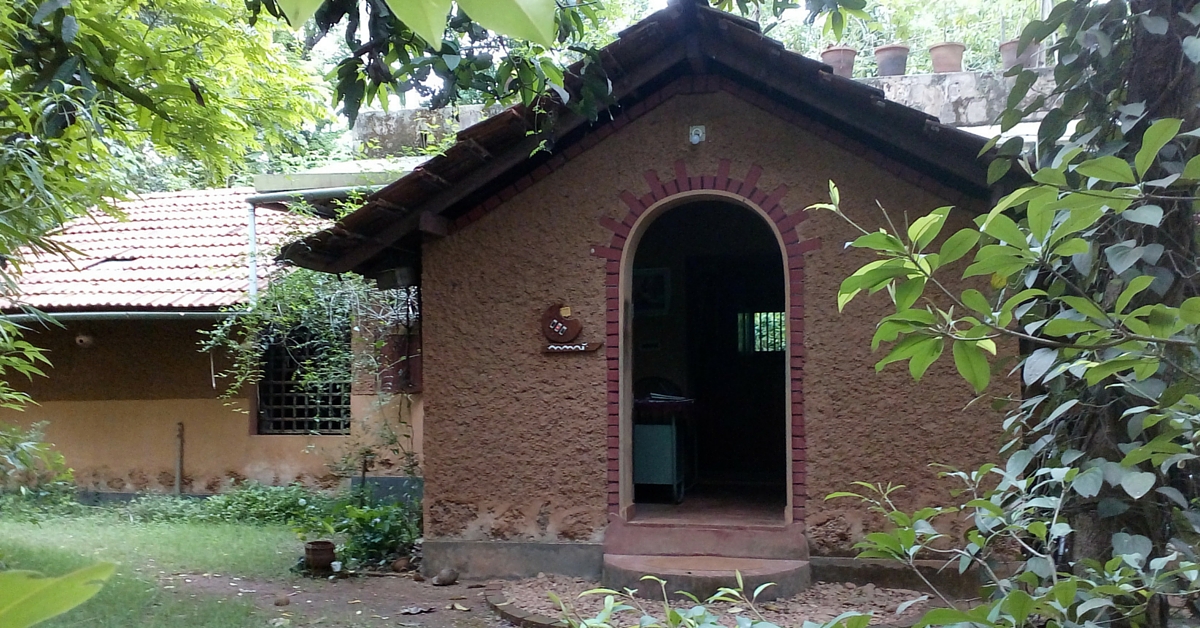 This Couple’s Quest for Natural Living Has Resulted in a Mini Forest and an Energy Efficient Home