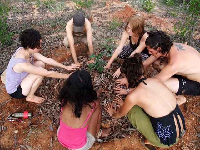 More forests to grow people
