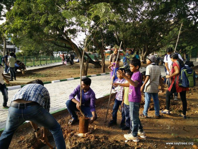 SayTrees is making Bangalore Smile by giving it a new green cover ...