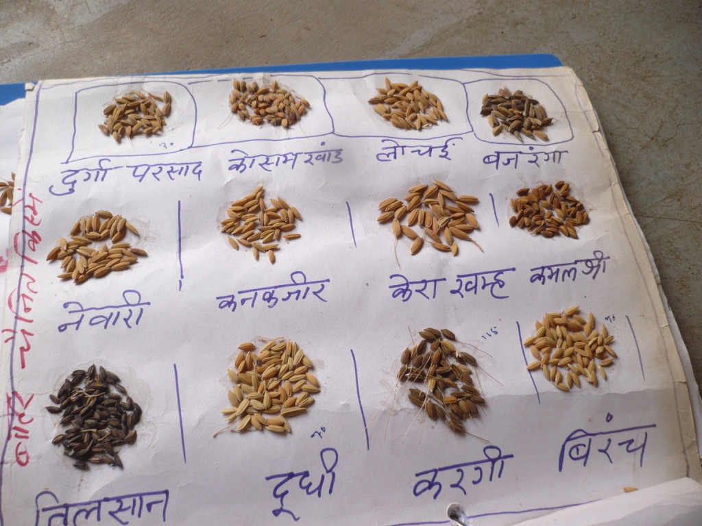 A farmer saving our heritage of seeds - Vikalp Sangam